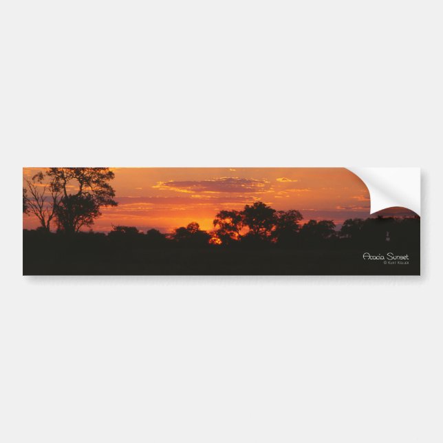 Stickers pare-chocs Acacia Sunset (Devant)