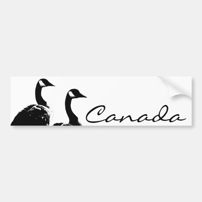 Stickers pare-chocs Canada Stickers oies du Canada (Devant)