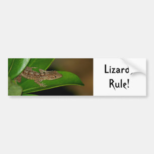 Stickers pare-chocs de règle Lizards