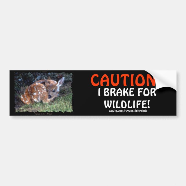Stickers pare-chocs pour animaux domestiques et de (Devant)