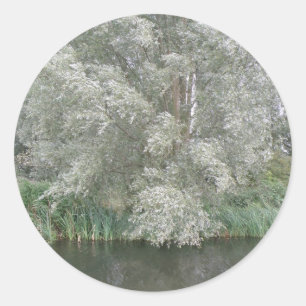 Stickers Paysage d'arbre blanc et de rivière