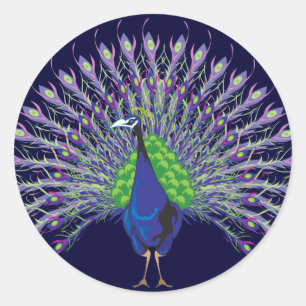 Stickers Peacock