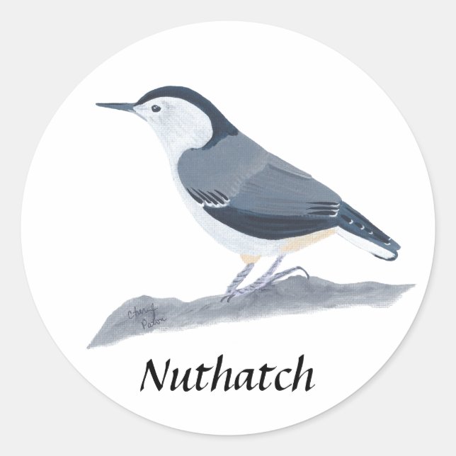 Stickers Peinture d'Oiseau Nuthatch à poitrine bla (Devant)