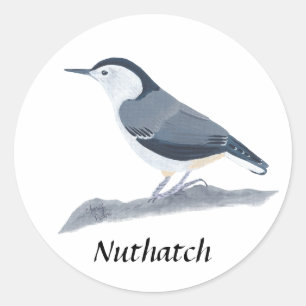 Stickers Peinture d'Oiseau Nuthatch à poitrine bla