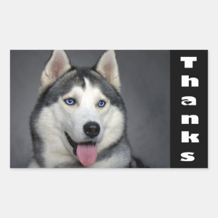 Stickers personnalisés Merci Sibérie Husky Chien C