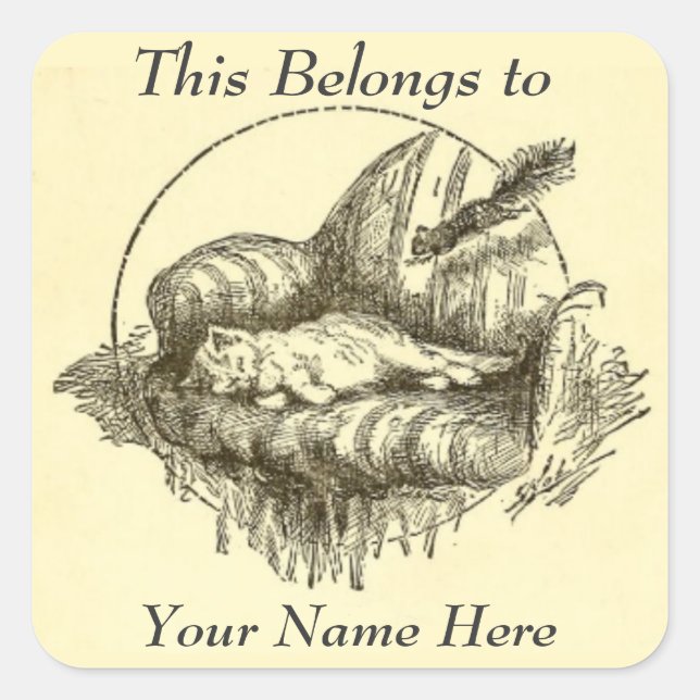 Stickers personnels chats et écureuils (Devant)