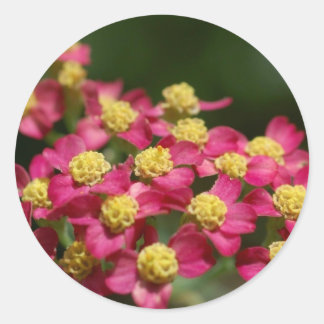 Stickers Petites Fleurs