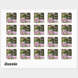 Stickers Photo Fleur "Confiance dans le Seigneur"