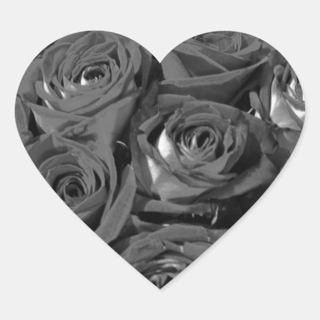 Stickers photo Rose à look Vintage noir et blanc (Devant)