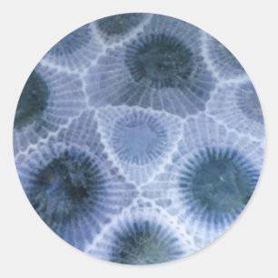 Stickers Pierre gris bleu