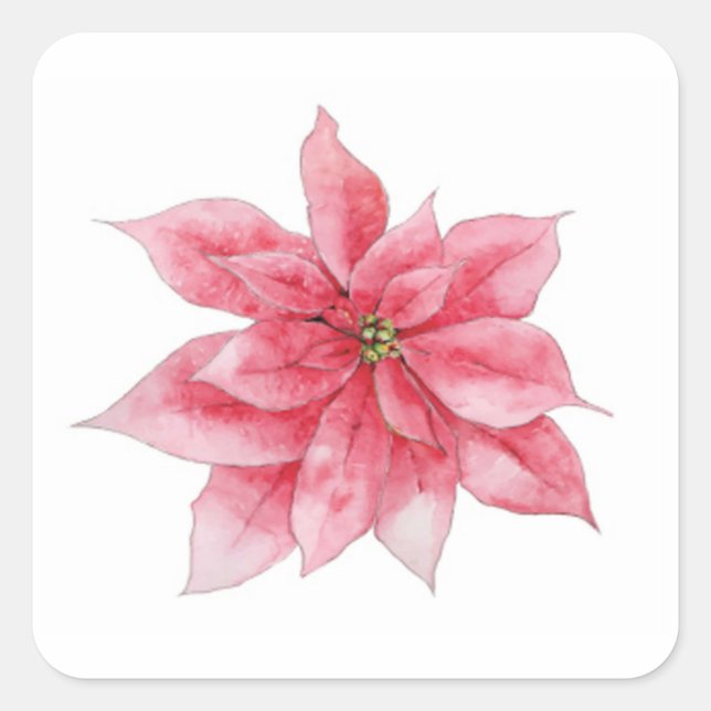 Stickers Poinsettia aquarelle (Devant)