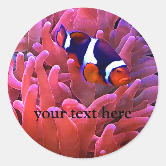 Stickers poisson-clown #1 (Devant)