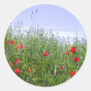 Stickers Poppy Field