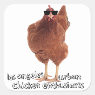 Stickers Poulet !