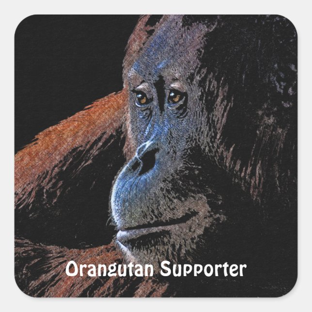 Stickers Primate Orangutan Grand Ape (Devant)