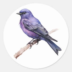 Stickers Purple Martin Songbird
