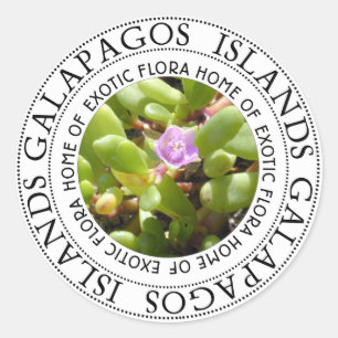 Stickers Purslane de la mer des Galapgaos