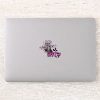 Stickers Quirky