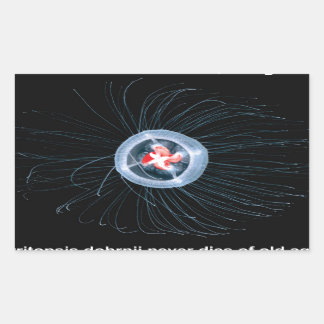 Stickers Rectangle de méduse immortels