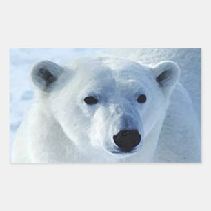 Stickers Rectangle d'ours polaire