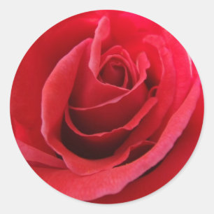 Stickers Red Rose