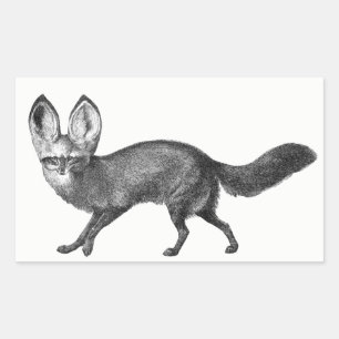 Stickers Renard Gagné de chauve-souris