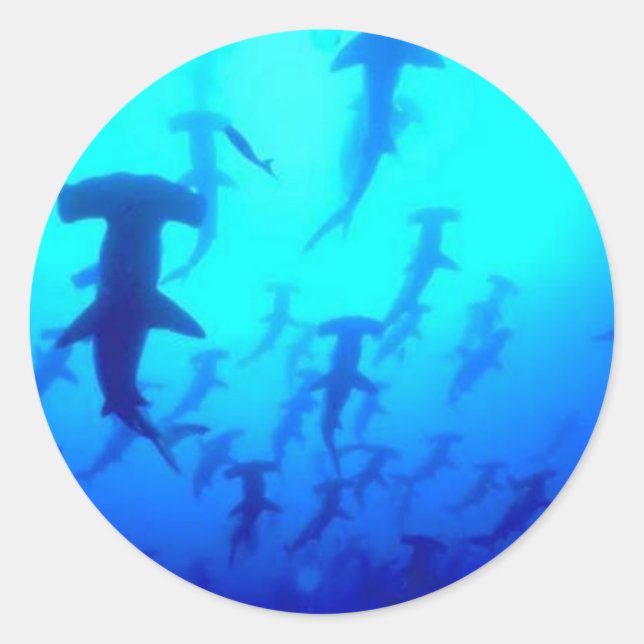 Stickers Requin (Devant)