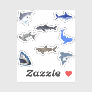 Stickers Requin