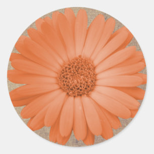 Stickers Rond Fleur Faisée Rustique Peach Stickers