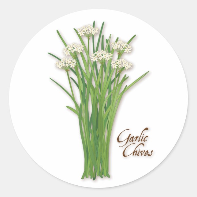 Stickers ronds de ciboulette d'ail (Devant)