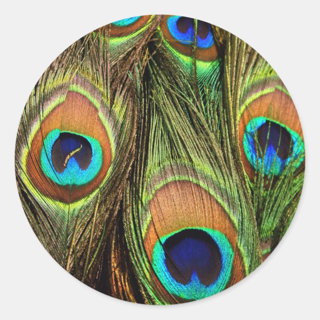 Stickers ronds Peacock Feathers (Devant)