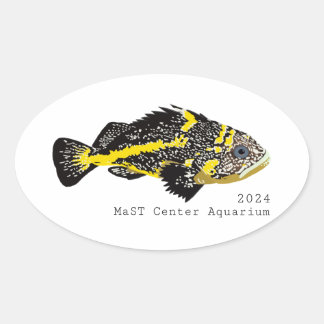 Stickers ronds Yellowstripe Rockfish 2024 - Classi