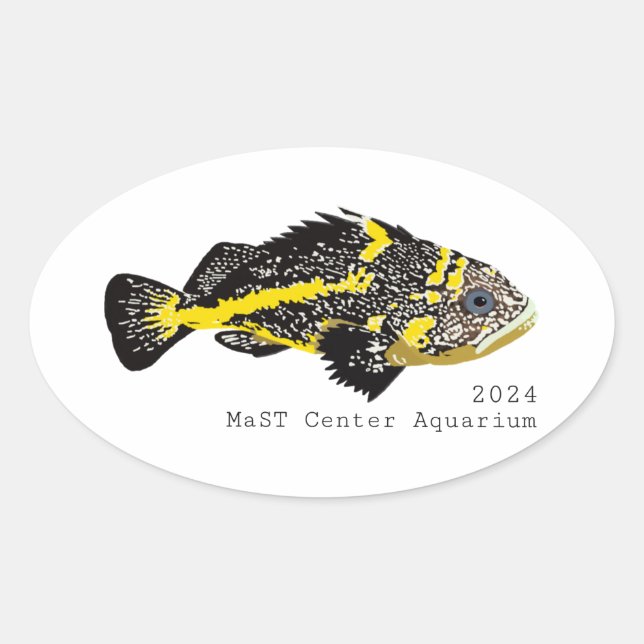 Stickers ronds Yellowstripe Rockfish 2024 - Classi (Devant)