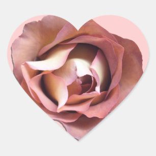 Stickers - Rose Dusky
