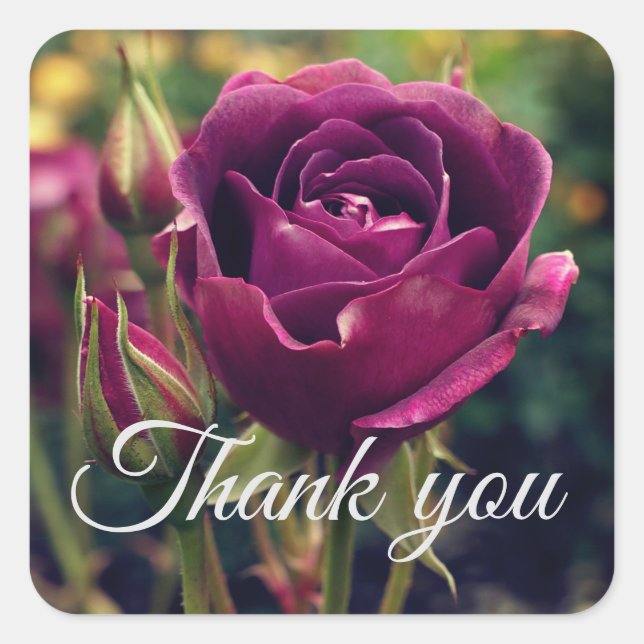 Stickers Rose Iceberg Merci Bourgogne #1 (Devant)