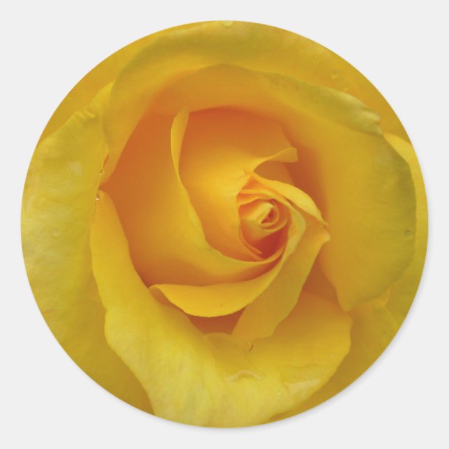 Stickers Rose Jaune Cheveux Roses cadeaux Keepsaké (Devant)