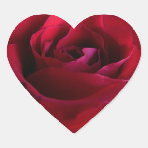 Stickers Rose rouge Romantique Rose cadeaux Keepsa