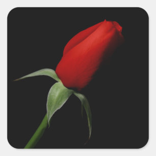 Stickers rose - Sceaux Mariage Enveloppe