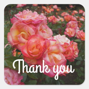 Stickers Rose Sorbet Merci Rainbow #4