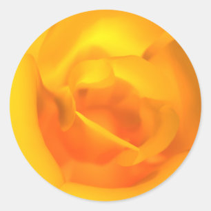 Stickers Roses enroulés