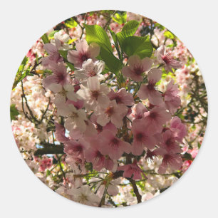 Stickers Sakura Cherry Blossom #3