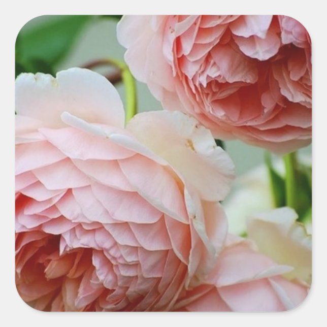 Stickers Sceau Enveloppe Peony Rose (Devant)