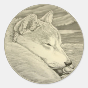 Stickers Shiba Inu Amoureux des chiens Shiba Inu A
