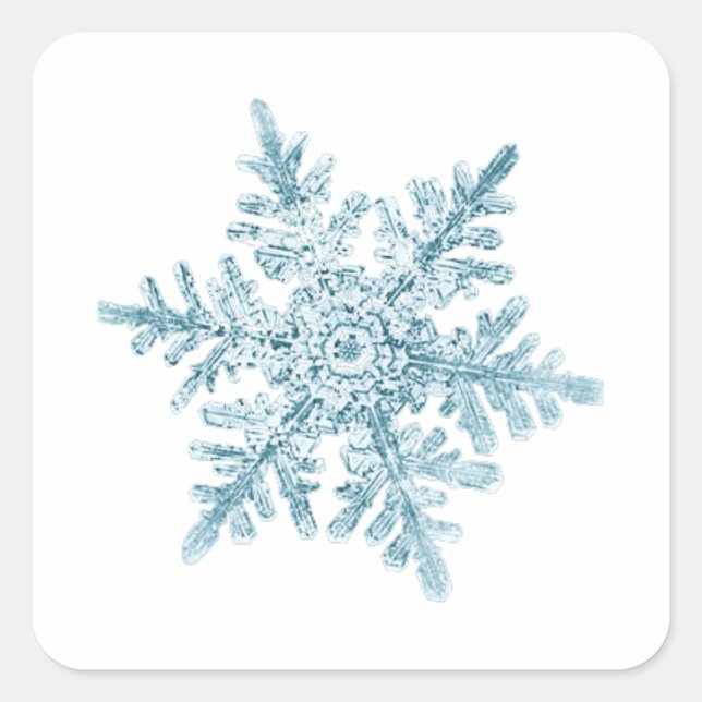 Stickers Snowflake (Devant)