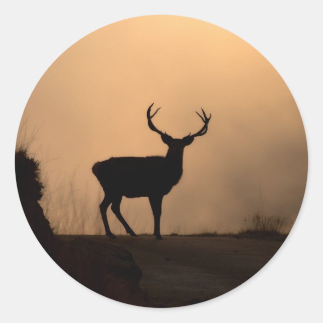 Stickers Solitaire Red Stag (Devant)