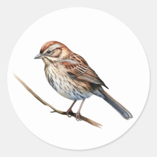 Stickers Song Sparrow Bird