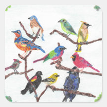 Stickers Songbirds colorés Rassembler
