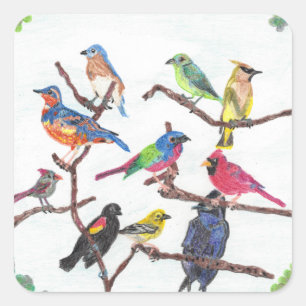 Stickers Songbirds colorés Rassembler