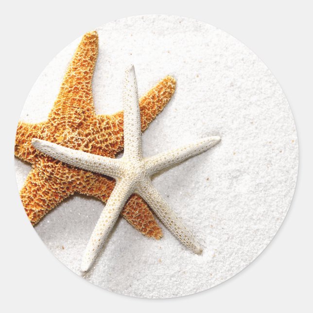 Stickers Starfish (Devant)