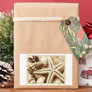 Stickers Starfish and Seashells